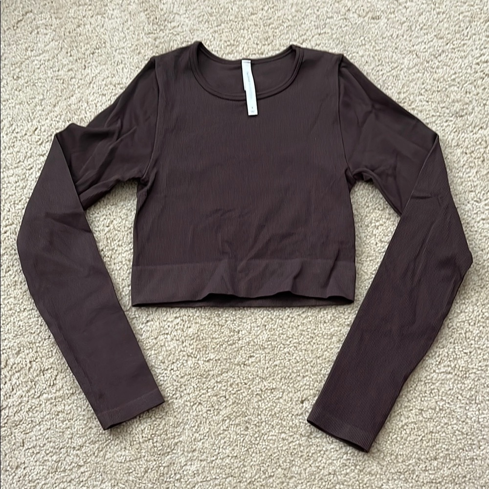 Babaton Brown Long Sleeve Crop Workout Top
